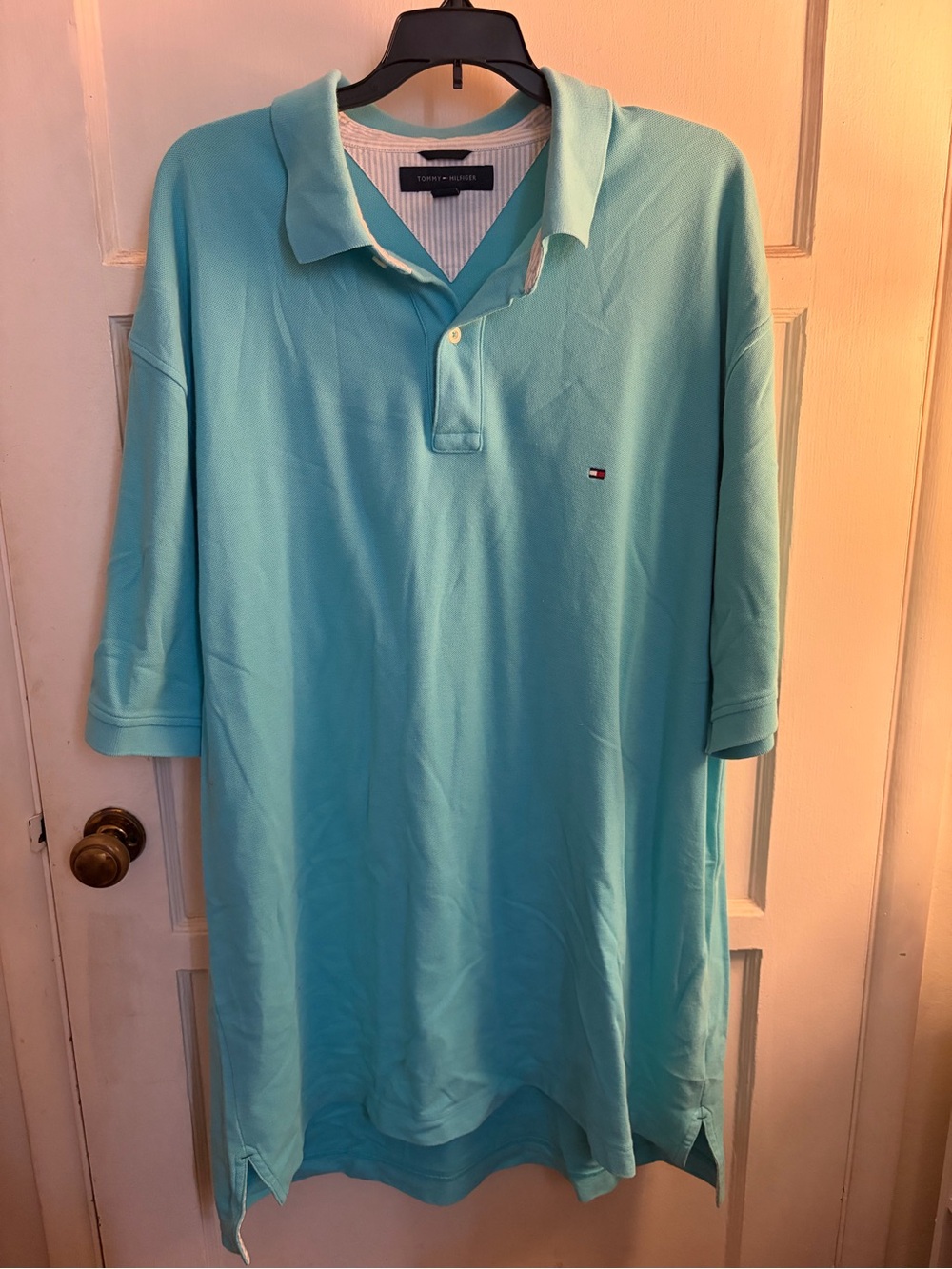 Tommy Hilfiger Men's Polo in Aqua Blue